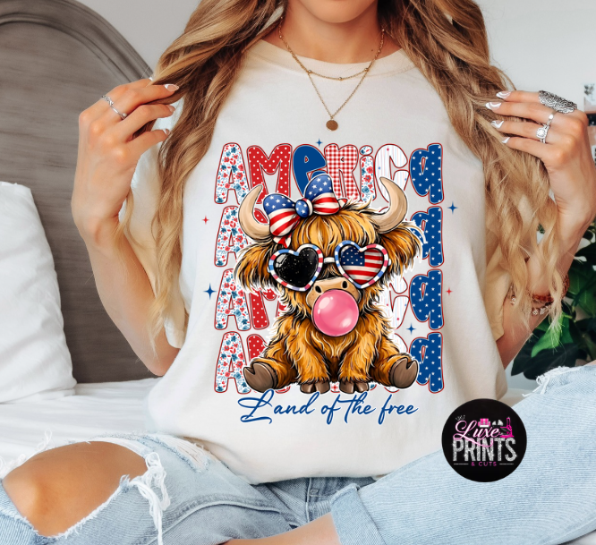 Land Of The Free Highlands Cow