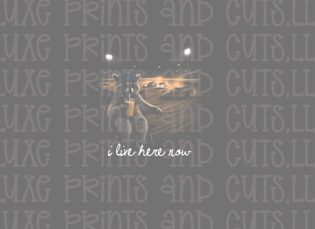 I Live Here Now -Dirt Track (TRANSFER ONLY)