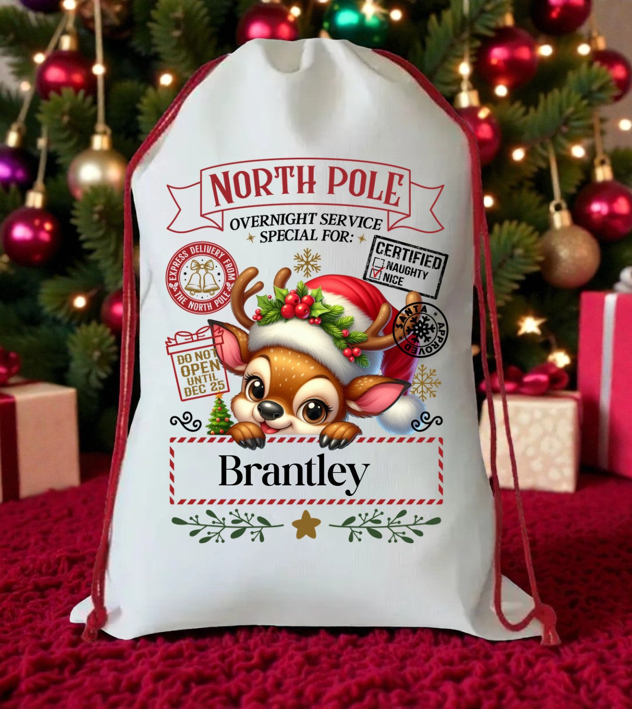 Personalized Santa Sacks