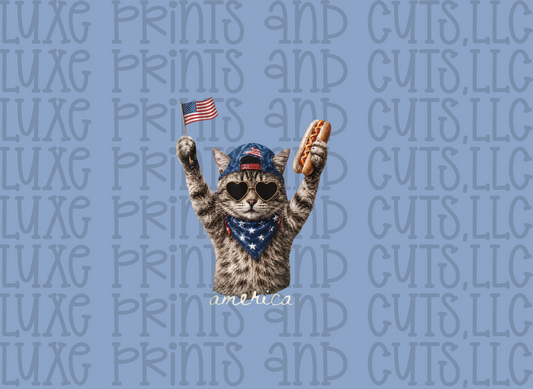 Patriotic Cat (TRANSFER ONLY)