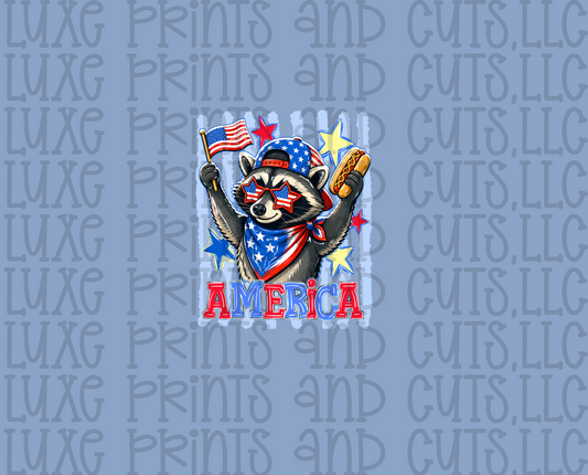 Patriotic Racoon (TRANSFER ONLY)