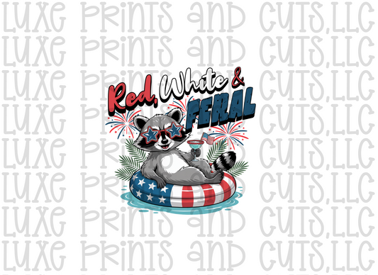 Red White and Feral (TRANSFER ONLY)