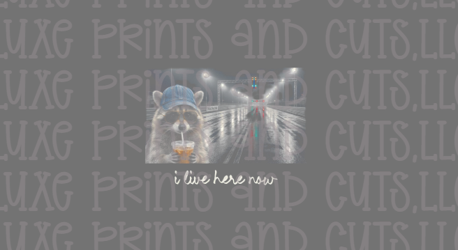 I Live Here Now - Drag Strip (TRANSFER ONLY)