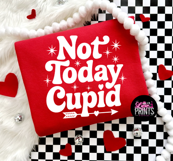 Not Today Cupid